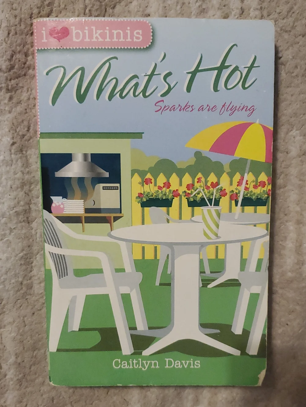 5 for $25 | What's Hot by Caitlyn Davis Paperback Novel